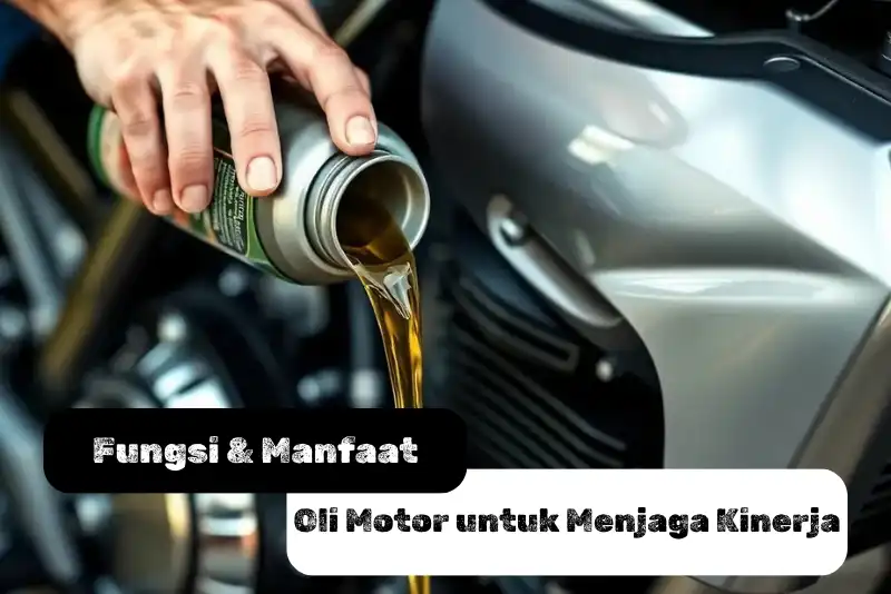 fungsi dan manfaat olimotor untuk menjaga kinerja